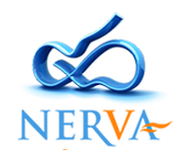مجموعة نيرفا Nerva Group